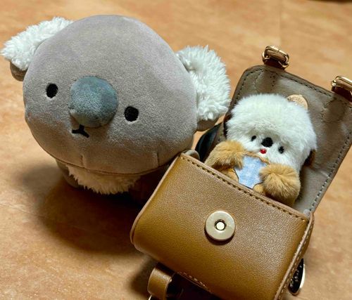あけましておめでとうございます！
今年もよろしくお願いします。

私ごとですが、弟分🦦ができました。
名前はまだないそうです。