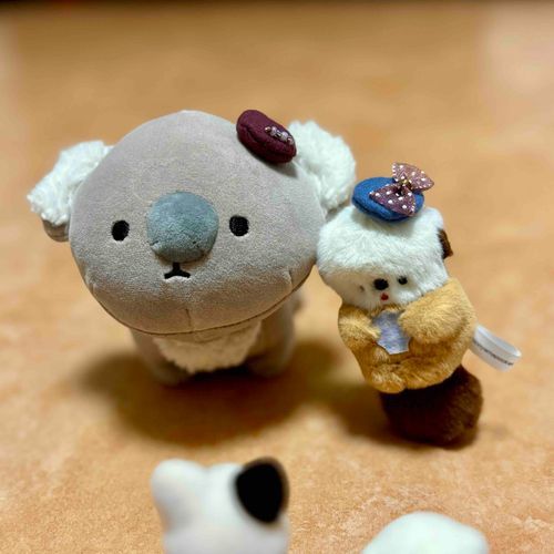 持ち主…
これ、シルバニアの子達の帽子では…？
