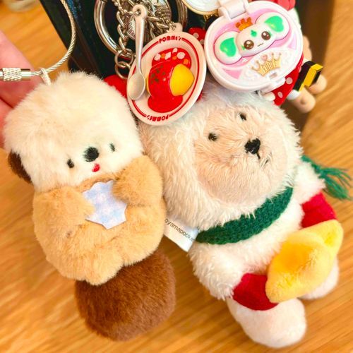 弟分🦦が、もうすぐ遠くにいっちゃうお友達と写真を撮ってもらったんだって。
寂しくなるね。また日本に遊びに帰ってきてね。