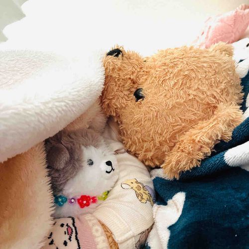「ここちゃんの ウデのなかで きもちよさそーに すごしてる🧸💗🐕 ͗ ͗ ͗アサおきたときに、ママといっしょに カメラとったよ📸✨️🧸ここちゃんは、おせわずきで、ねぇーねぇー(おねえちゃん)になりたいみたいや🧸🌱まだ0サイだけどさ！みんなもママといっしょにねてるのかなぁ？」
