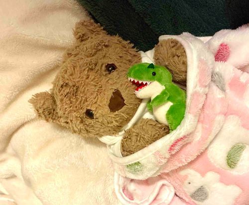 「これ おれっちのおきにいりの ぬいぐるみ！！おやすみぃ」