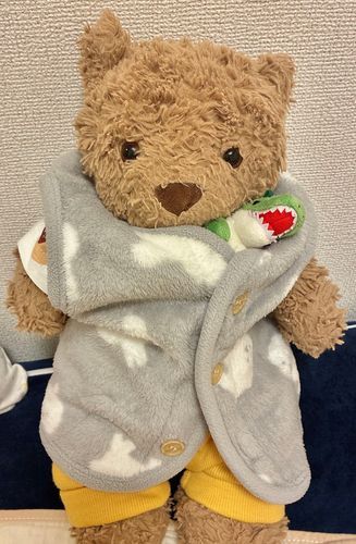 「このフクなぁ〜あったかいんだよぉ🧸💕けっこうまえに、にしまちゅや でかったの👕きょうりゅうしゃんも あたためてあげてるんだぁ🦖ポカポカしてる」
