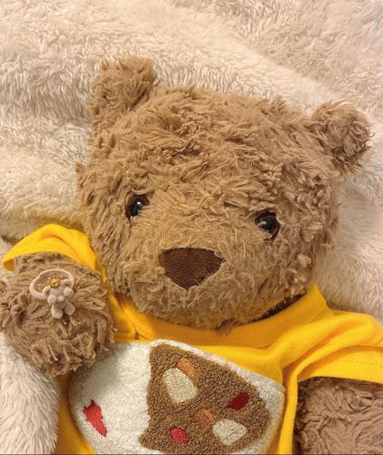 きょう8がちゅ11にちは、ママと おれっち(ママとパパ)のけっこん いちねんめ！！🧸💍おれっち、じつは、パパの ブンシンでもあるんだよぉ！だから、パパといっしょにママにプロポーズしたの！🧸💕おててにあるユビワをあげたんだ～✨️ママまだ きれいにもってる！うれちい！アルバイトで がんばって ためたオカネでかったんだぁ✨️
