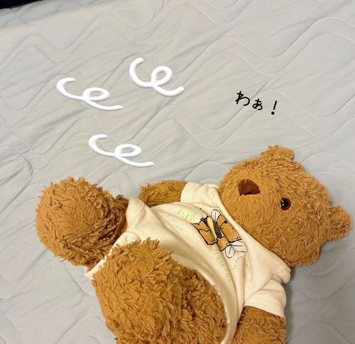 👩🏻「ママねぇ～くまたろの推し活してるの💕 」
🧸「おしかちゅ？おれっちは、ママの おされかつ してるよぉ」
👩🏻「推され活？😆」
🧸「わぁ！おさんといて〜！(押す)」
👩🏻「そっちの押す？！😄」

