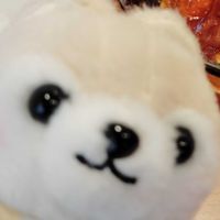 ゆきちゃそだよ〜