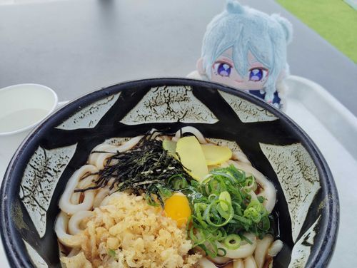 ぶかけうどど