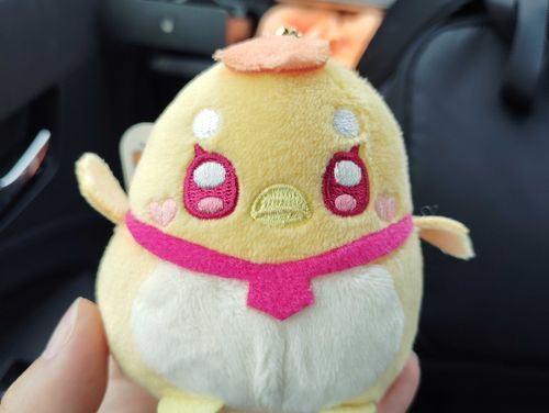 💪🐣