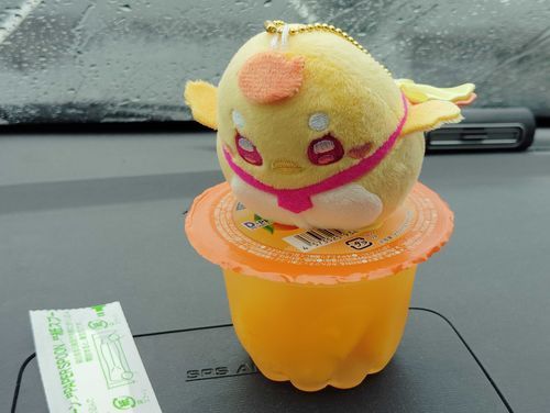 🐣🍊！飛べる！