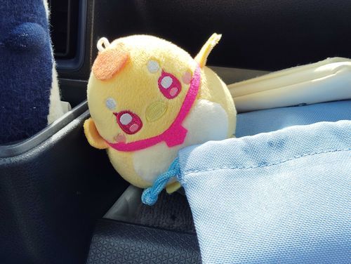 ちゃきーん✨