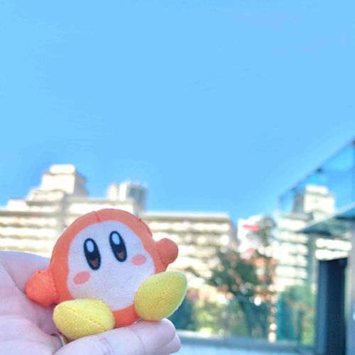 わにゃ☀︎