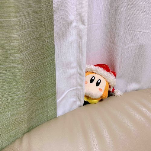 ｜わにゃ