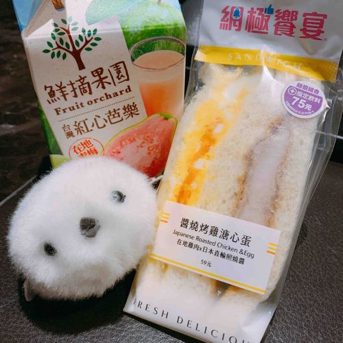 台湾でお仕事中の主を見守っているぞ