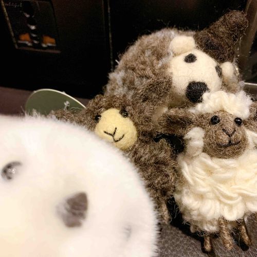 仲間が増えたようだ