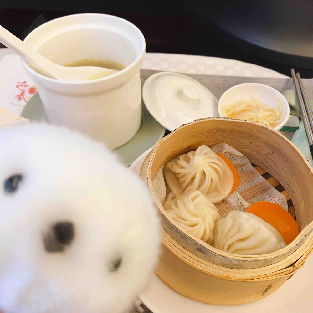 ただいま日本、
締めは鼎泰豐の機内食だ