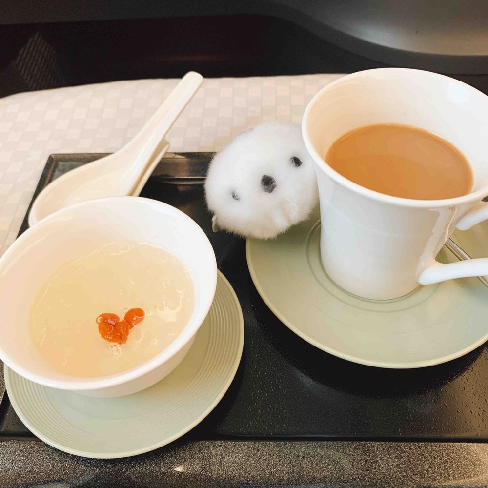 ただいま日本、
締めは鼎泰豐の機内食だ