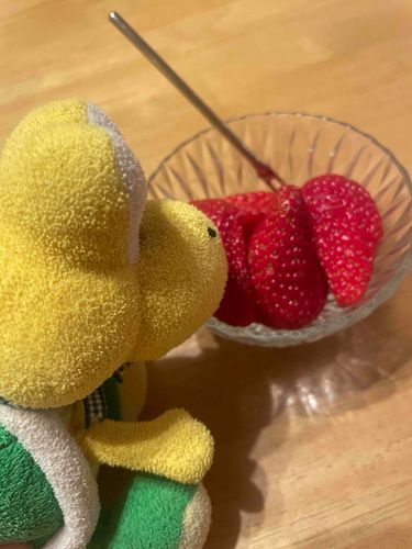 2024年初投稿ノコ！
いちご食べるノコ🍓