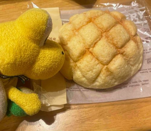 数年ぶりにメロンパンを食べたノコ！🍈🍞
ノコちの甲羅はメロンパンみたいノコ！！