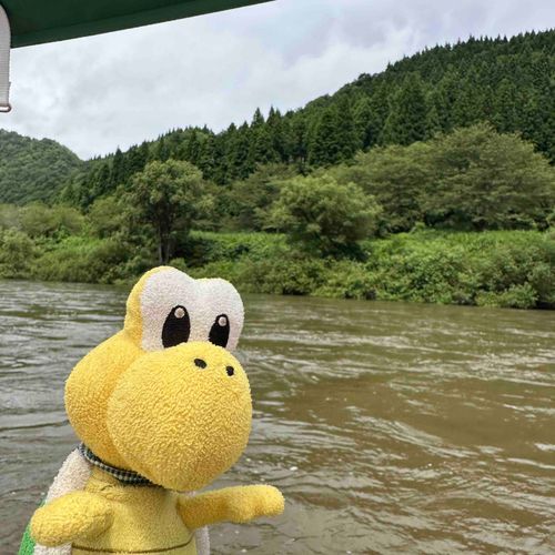 久しぶりの投稿ノコ！
この前川下りをしたノコ！
気持ちよかったノコ〜！