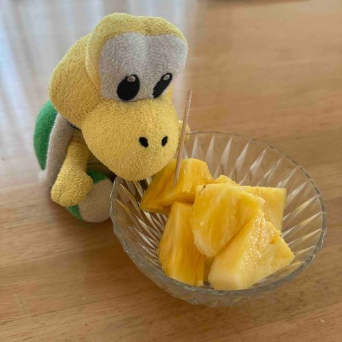パイナップルを食べたノコ🍍
ノコちと同じ色のフルーツが好きノコ🟡