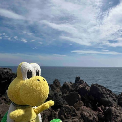 この前静岡旅行に行ってきたノコ！
海が綺麗だったノコ〜✨️
亀の血が騒いで久々に泳ぎたくなったノコ🐢🌊