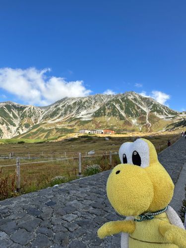 お久しぶりノコ！！
シルバーウィークに立山黒部に行ってきたノコ！🍁🍂

絵に描いたみたいな綺麗な景色でとーっても感動したノコ✨✨