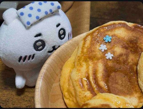 ふわふわ パンケーキをお布団に？？
…いい夢見れそうだねちょこちゃん‧⁺ ⊹˚.