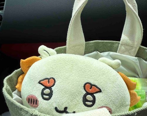 ほんとはどこに行くにも一緒に連れて行きたいよ。
