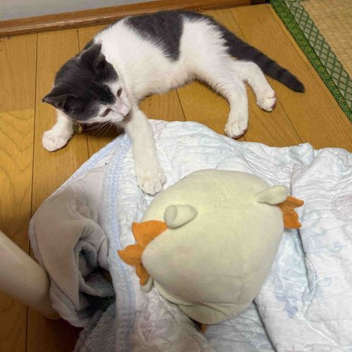 これからもなかよくしてね😚❤️
