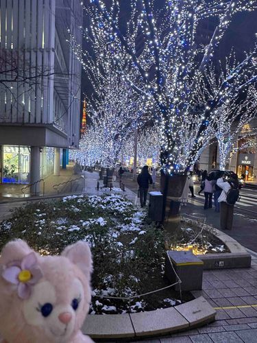 六本木ヒルズに行きました。
けやき坂イルミネーション
東京タワー🗼も見えてキレイでした🤩
