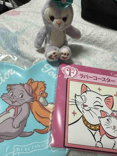 Happyくじ『Disney にゃん・にゃん・にゃん』¥800
2回ひいてE賞とF賞。まぁダブらなかったからいいか。かわいい🐈‍⬛