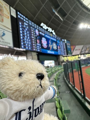 今年初ベルーナドーム！
野球の季節が始まるぞー💪