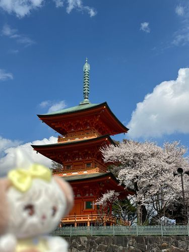 お墓参りに行ってきました♪
