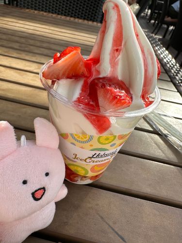 ちょっと暑かったからソフトクリームのいちご食べた〜
by有明ガーデン