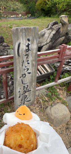 行ってみたかったほったらかし温泉へ。おいしいと有名な温玉揚げ¥200