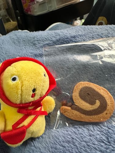 手作りクッキー🍪
かたつむりかわいい
╰(*´︶`*)╯♡