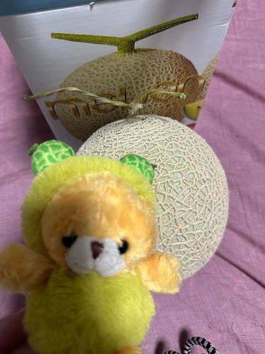 めろん🍈にメロメロ