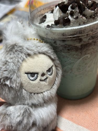 チョコミントフラッペ飲もうと思ったら終わってた。そりゃそうか、限定だった。在りし日のマクドナルドのチョコミントフラッペ🥤