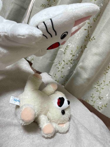 ｳﾜｰ‼️
