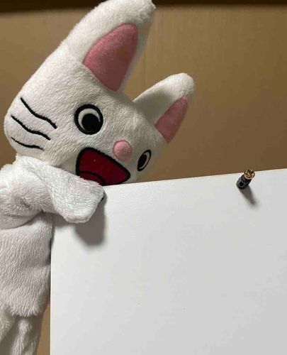 2人以上で支えながら作業してくださいって書いてあるのにうちにはコイツしかいない
