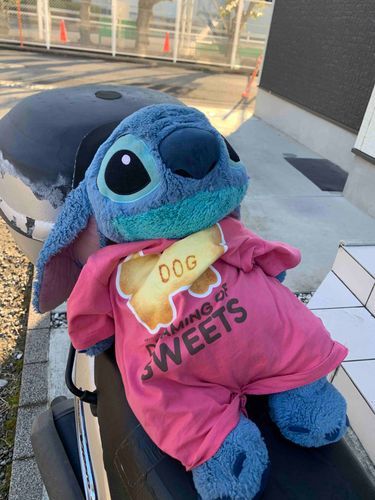 今日は飼い主の用事で、車に乗っていくよー！
ぜひぜひいいね、コメント、フォローお願いしますてぃっち
ぼくのくちぐせは、さいごに『す』が着くとスティッチっていっちゃうんだ！こんなすてぃっちもよろしくおねがいしますてぃっち！
