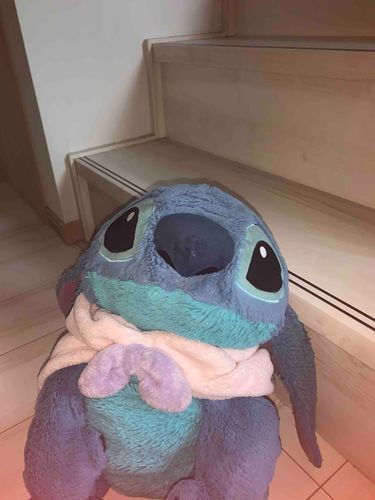 昨日は、とうこうできなくてごめんなさい😭

今日は、とうこうしますてぃっち！