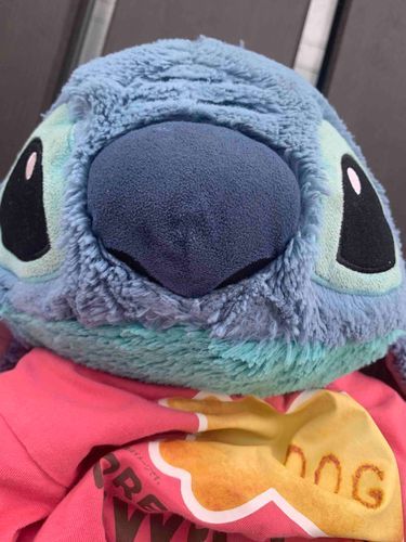 スティッチ、暑い(;^_^A