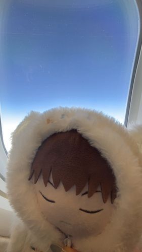 ひこうきにのった✈️