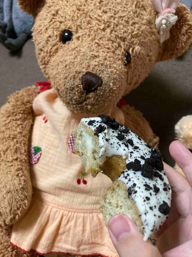 ドーナツ🍩食べるよ！