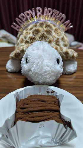 かめせんべいちゃん、3年目のお誕生日会
おめでとう🎉
