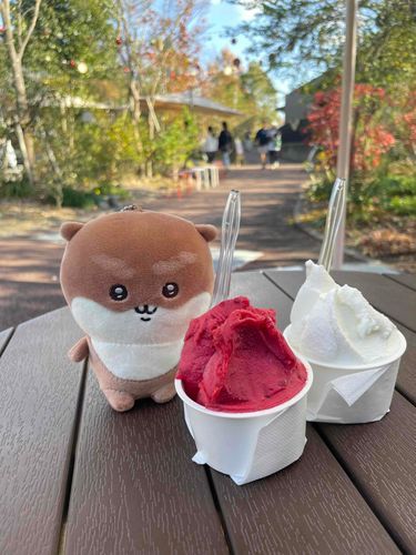 グランベリーすっぺぇ❗️