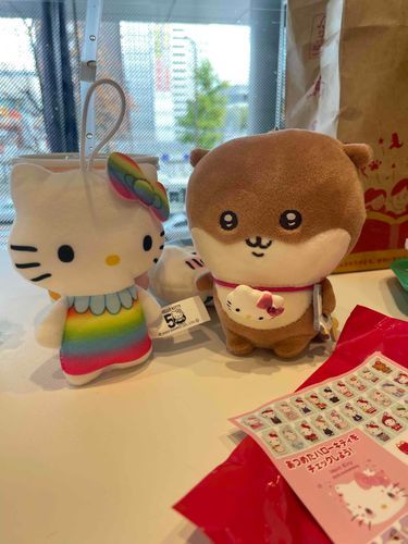 キティーさんのファンです❗️