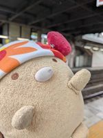 とん吉★ときどきマリン