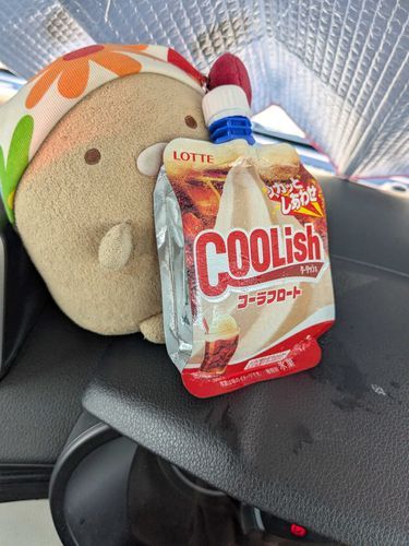 暑い日はクーリッシュとん