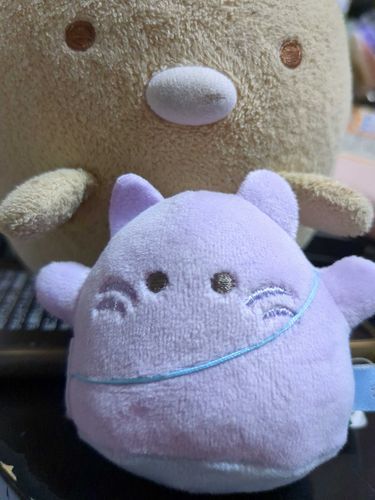 あたらしいお友達の
ねこ吉とん🍀
おばけーぬ？らしいとんな
